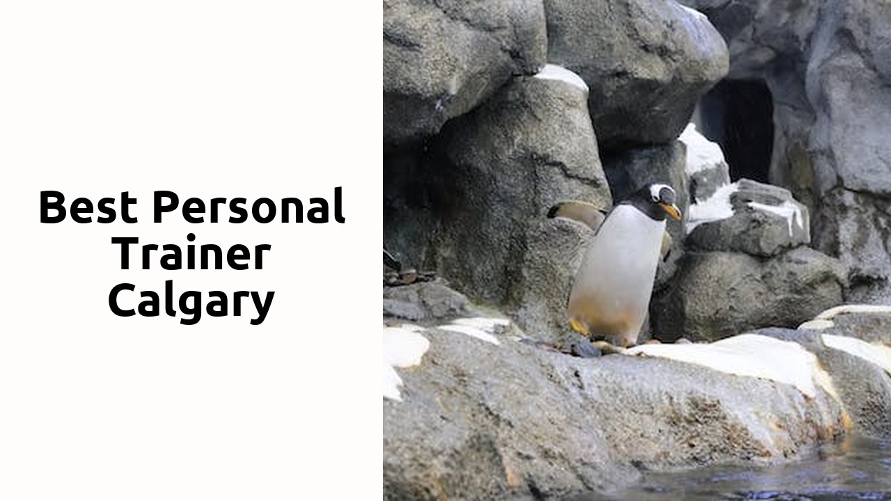 Best Personal trainer Calgary