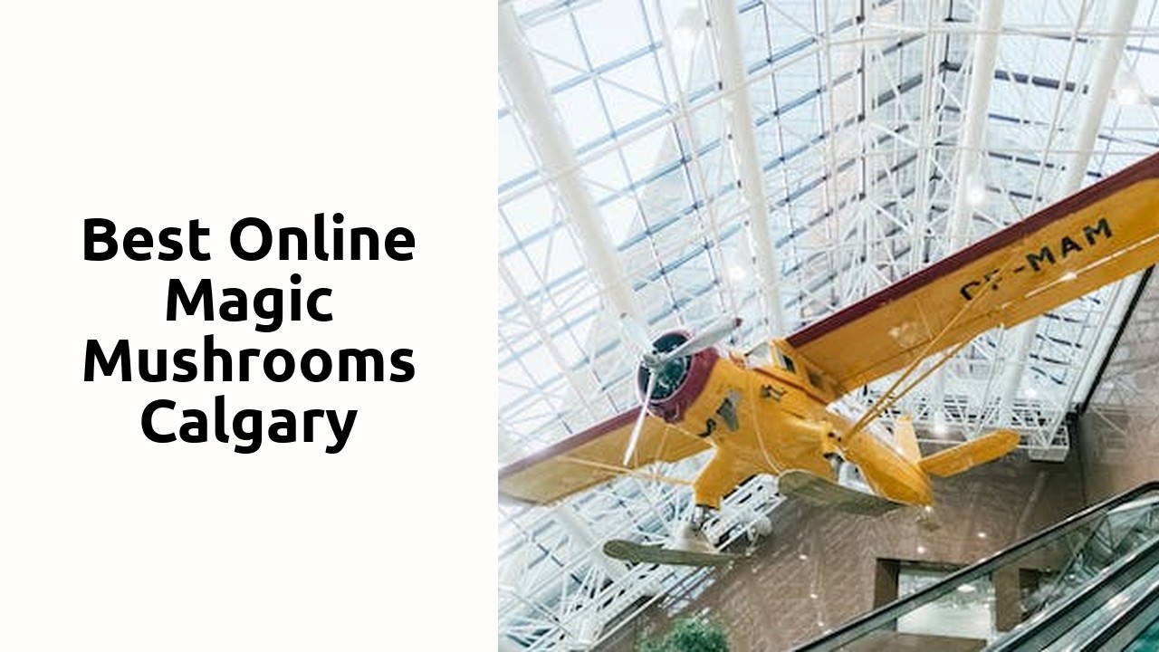 Best Online Magic Mushrooms Calgary