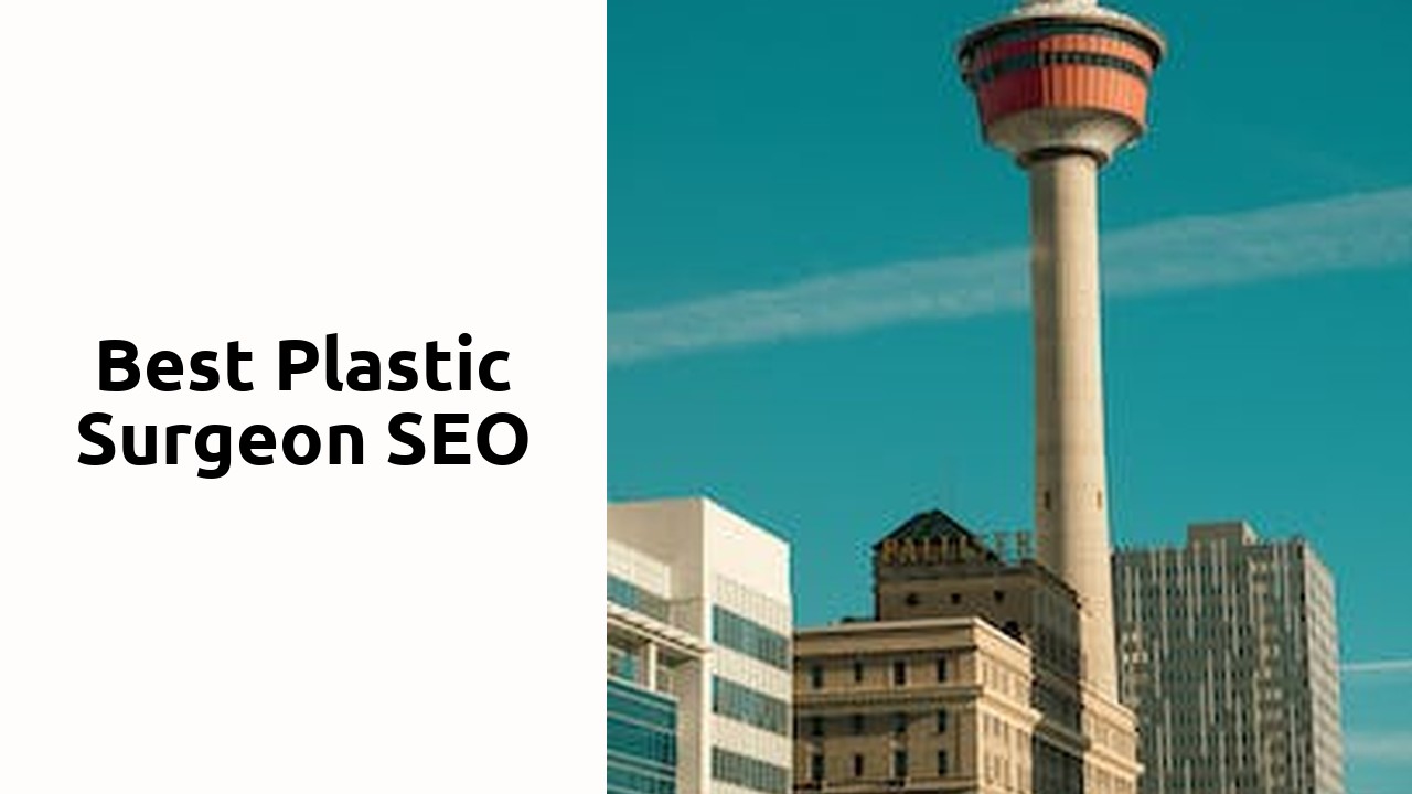 Best Plastic Surgeon SEO